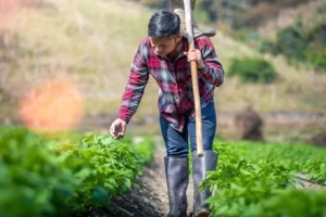 Forta de munca din Asia in Agricultura